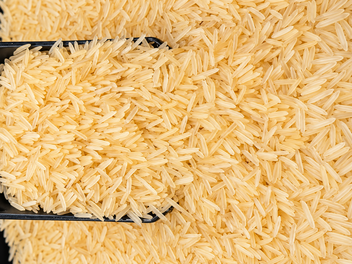 Long-grain Indian Basmati rice in a scoop