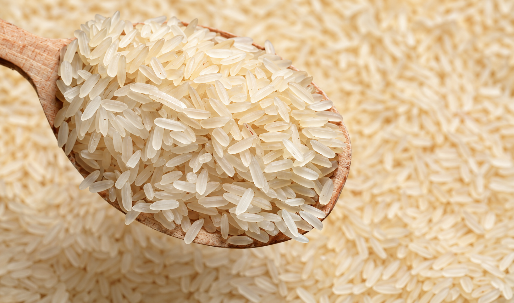 Indian Non-Basmati rice grains on a wooden spoon