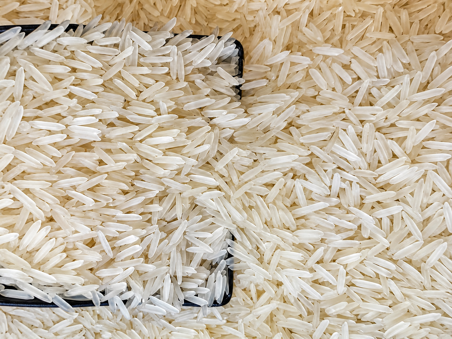 1121 Basmati Rice from Pansuriya Global