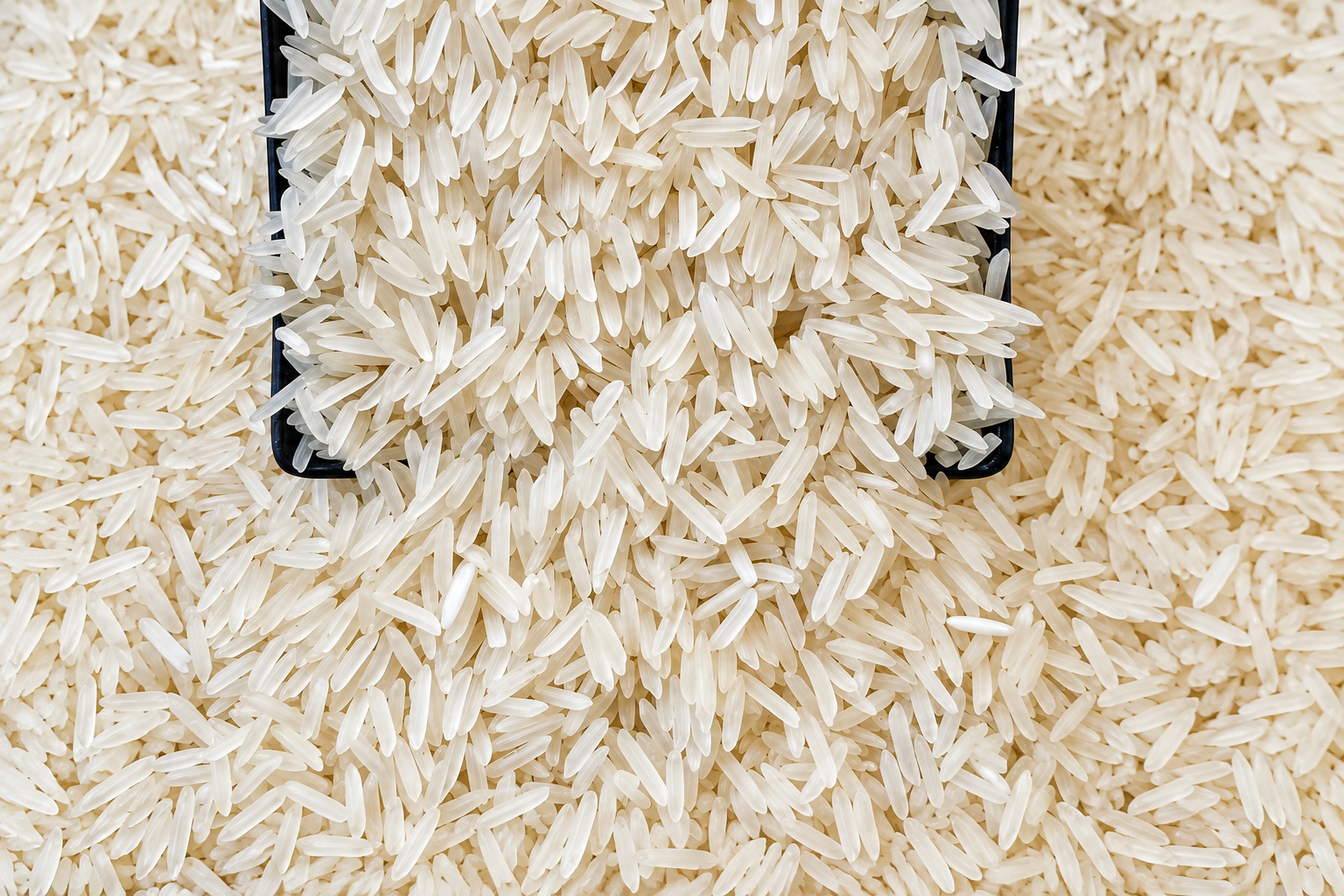 1401 Basmati Rice from Pansuriya Global