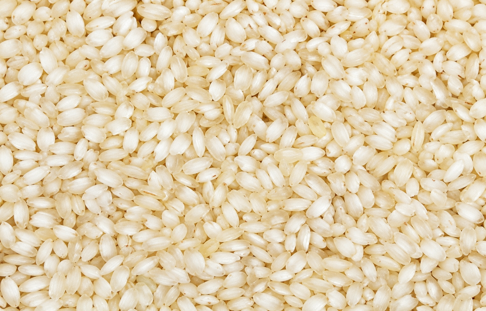 Idli Rice from Pansuriya Global