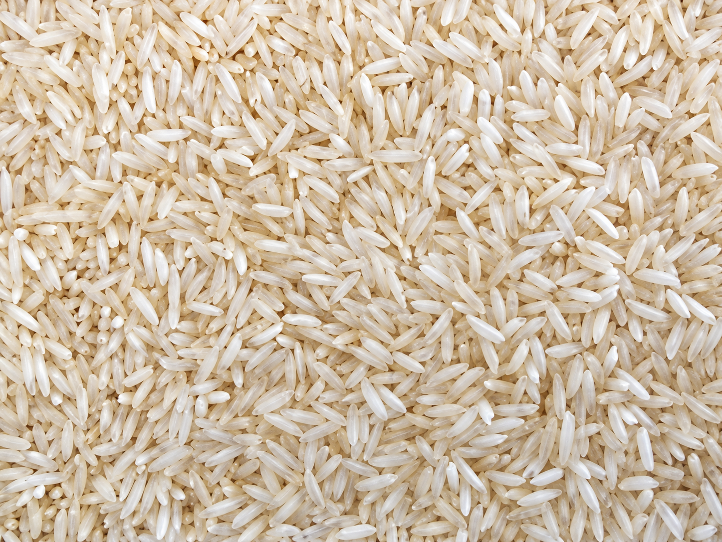 Kolam Rice from Pansuriya Global
