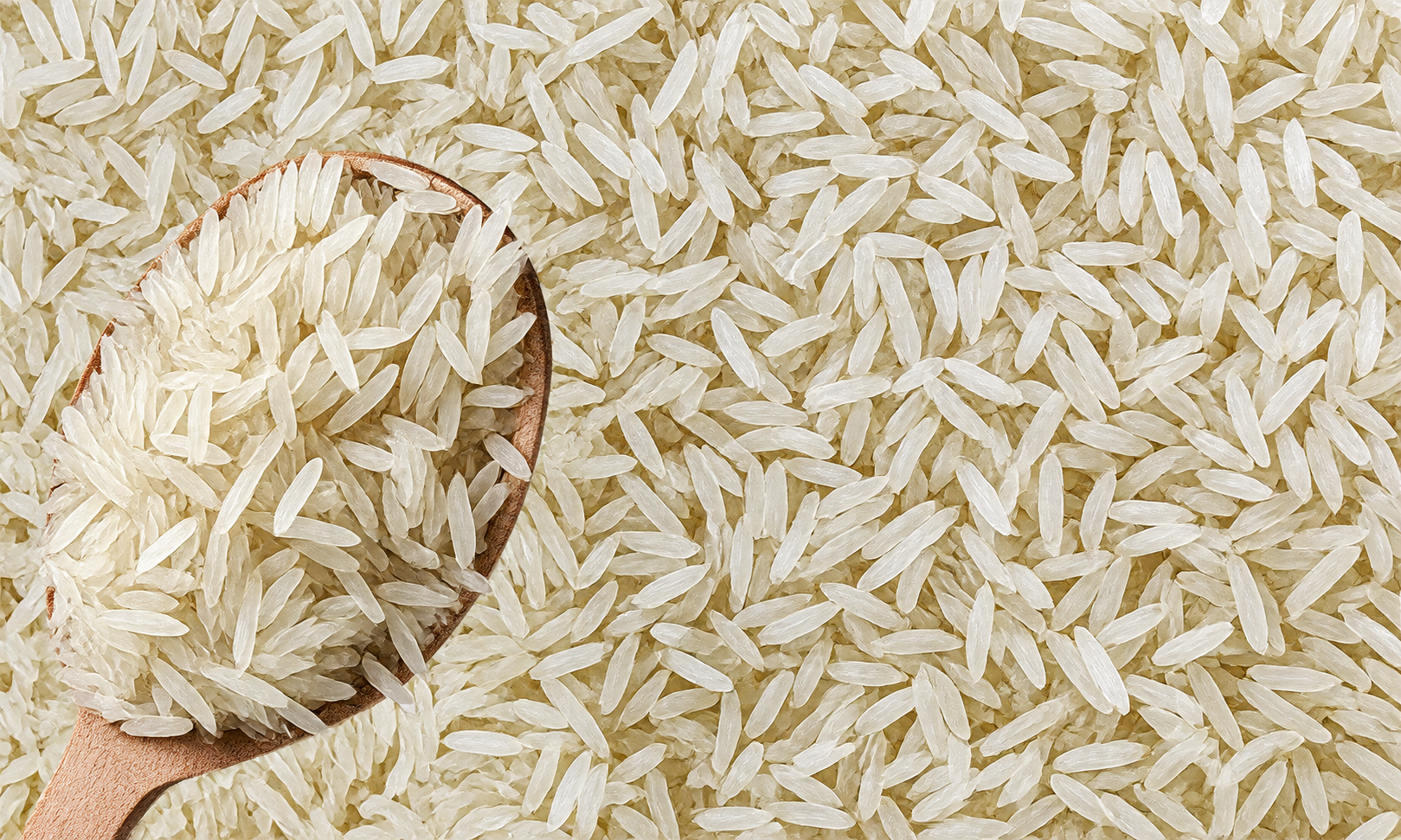 Parmal Rice from Pansuriya Global