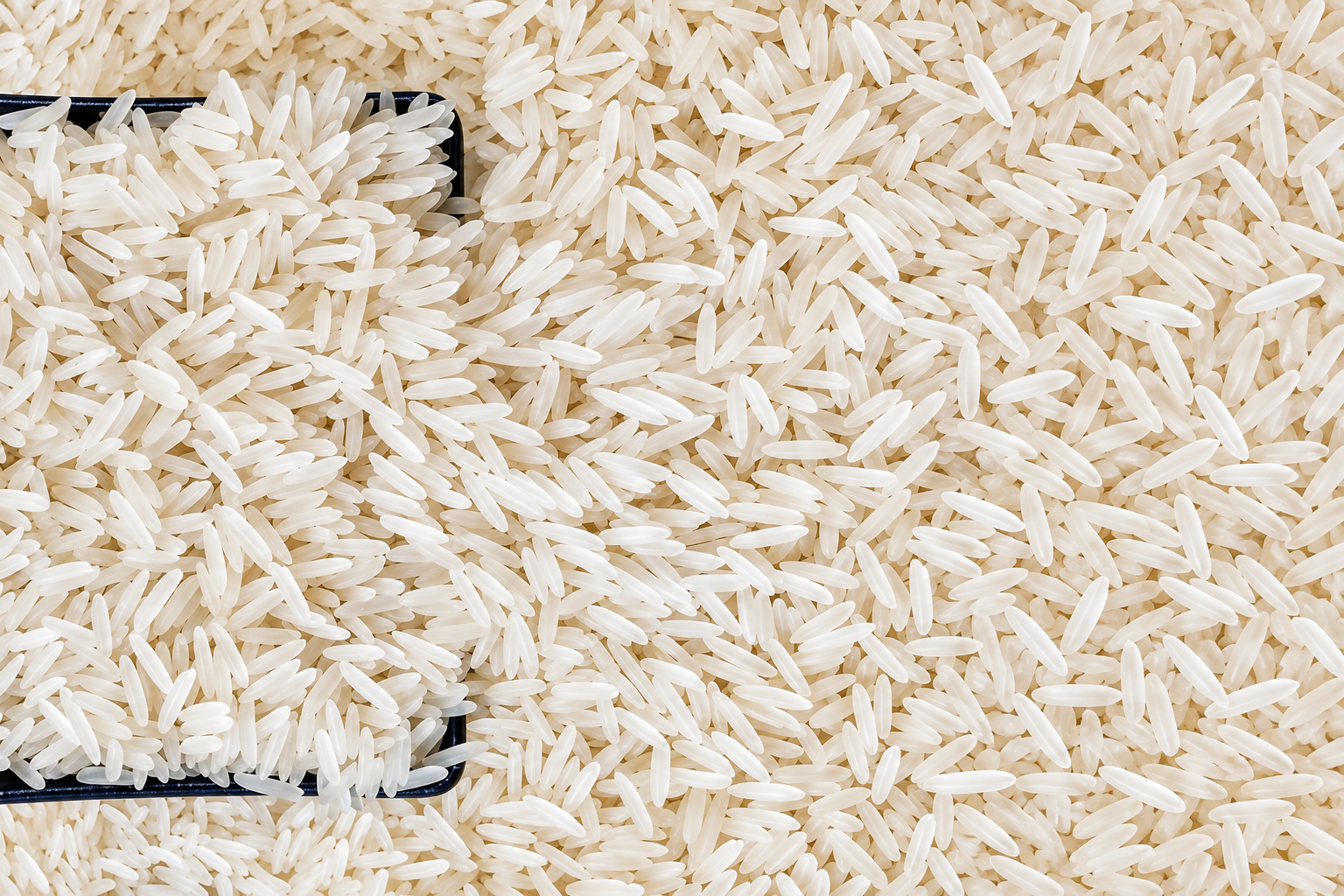PR11/14 Rice from Pansuriya Global