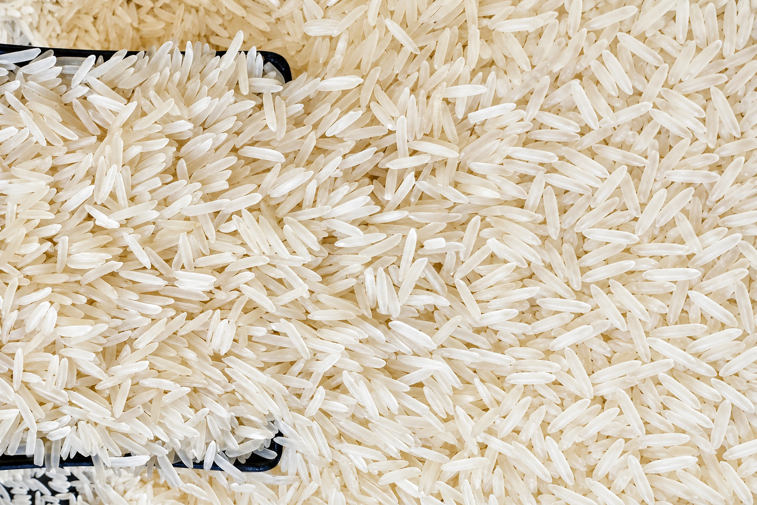 Pusa Basmati Rice from Pansuriya Global