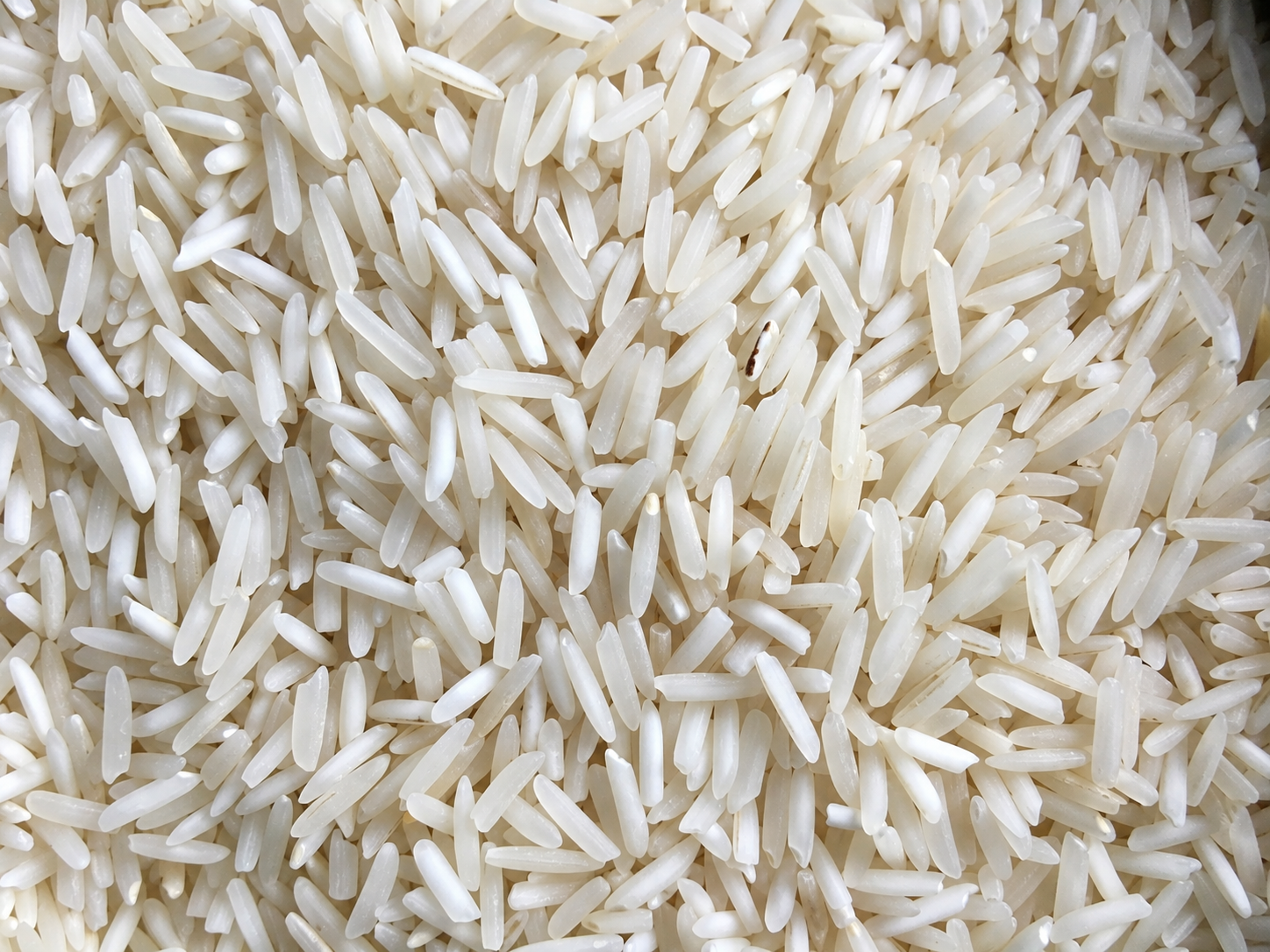 RH10 Rice from Pansuriya Global
