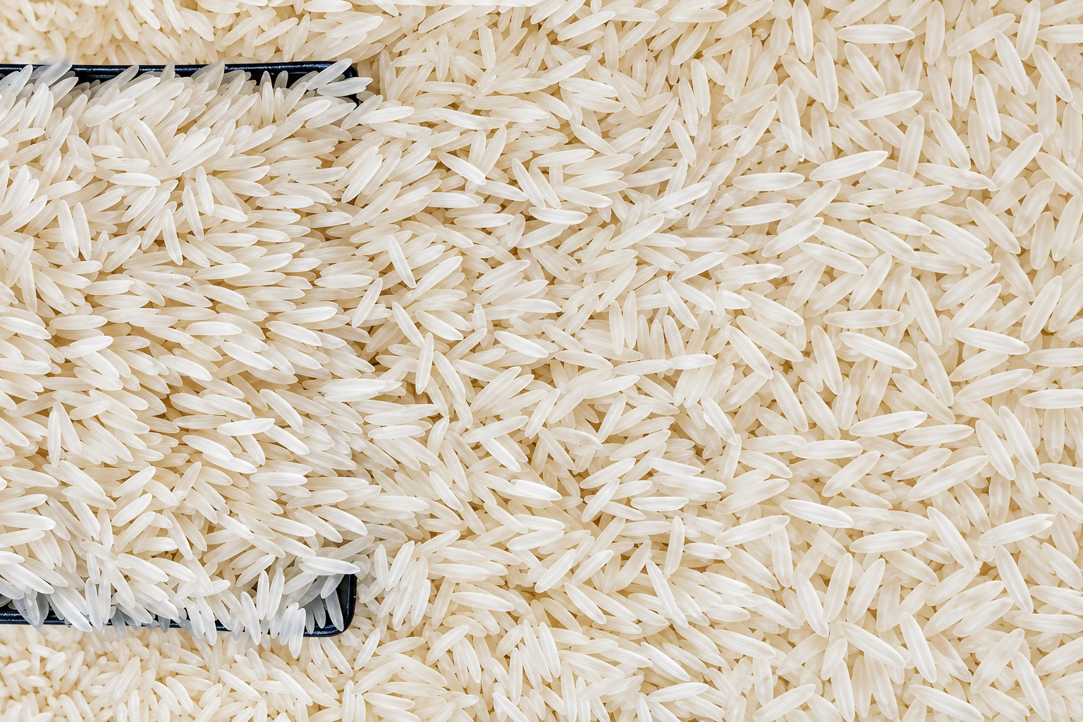 Sharbati Rice from Pansuriya Global