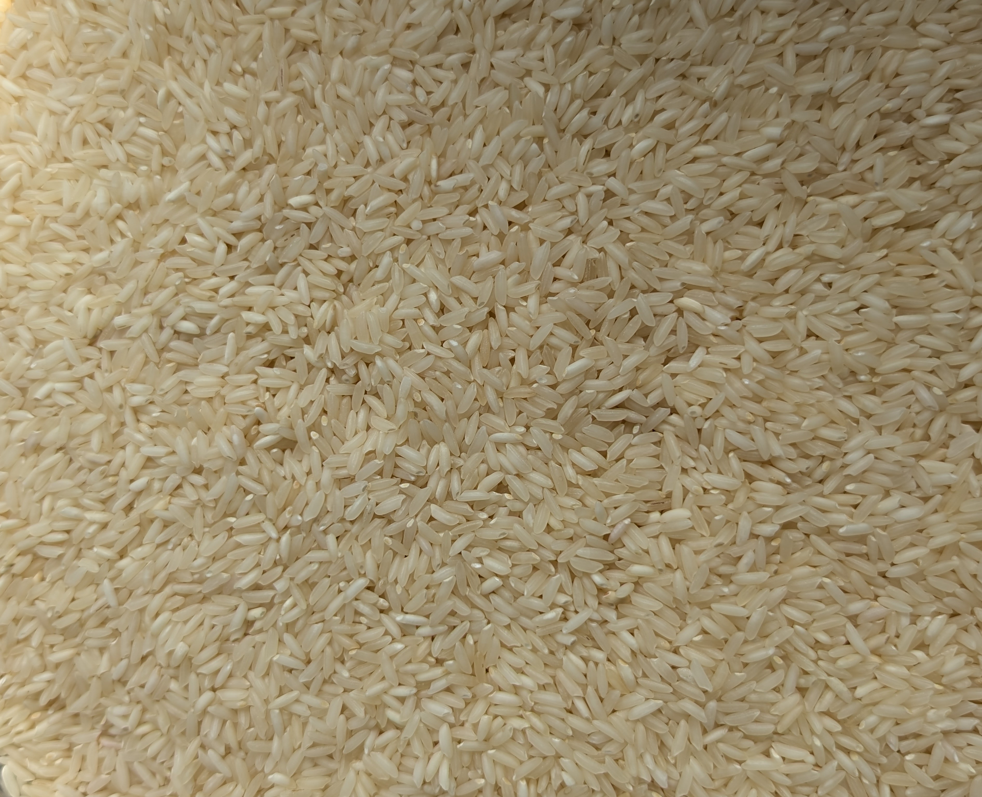 Sona Masoori Rice from Pansuriya Global