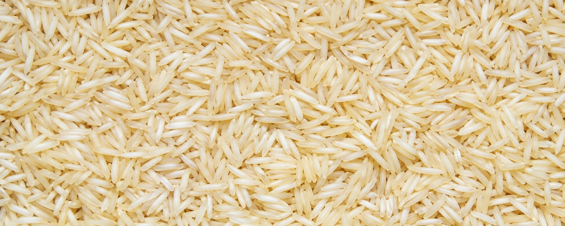 Sugandha Rice from Pansuriya Global