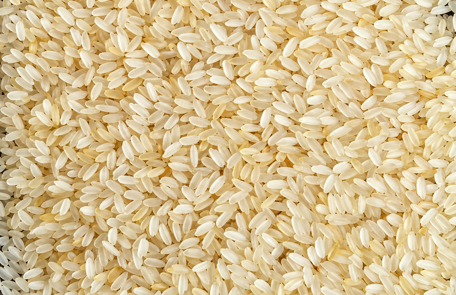 Swarna Rice from Pansuriya Global