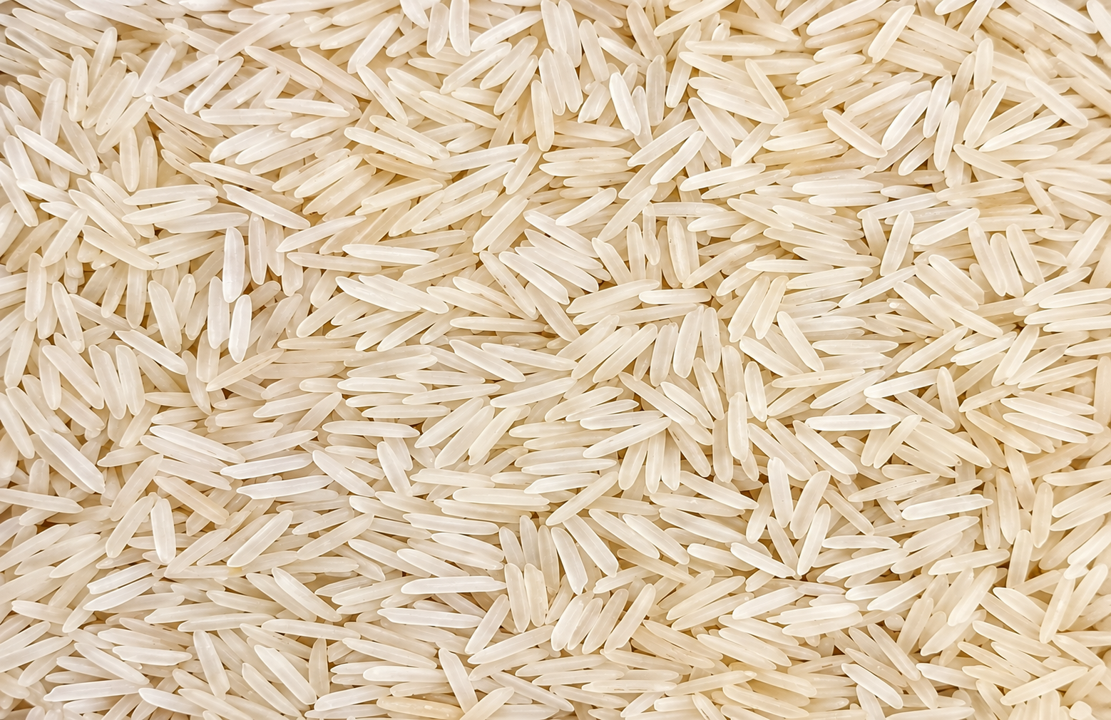 Taj Rice from Pansuriya Global